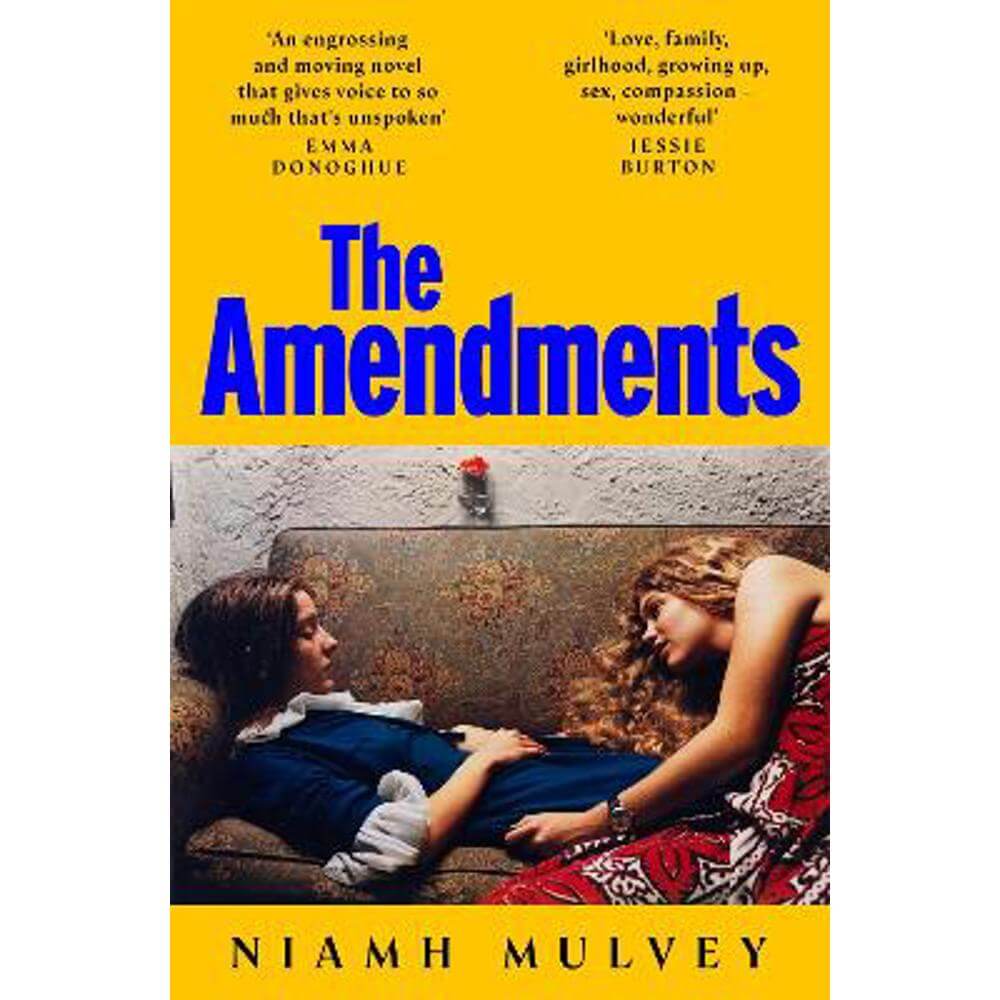 The Amendments (Paperback) - Niamh Mulvey